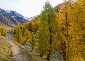 Tour du Parc national suisse