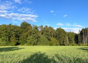 Cours de cuisine en équipe à la campagne