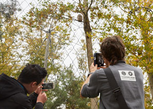 atelier zoo photographie zoo téléphone mobile