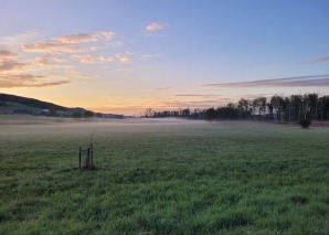 Tour dans la réserve naturelle du Nussbaumersee