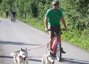 Scooter trips with huskies