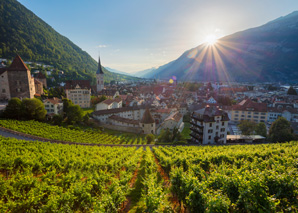 Wine tour with wine tasting in Chur