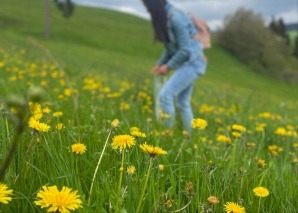Wild herb hike to a place of power