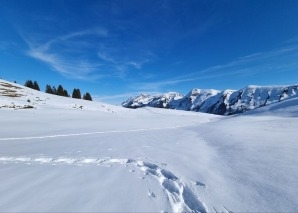 Expérience hivernale en équipe : randonnée en raquettes à neige