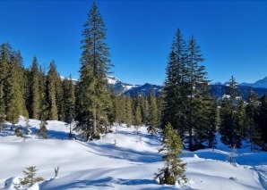 Expérience hivernale en équipe : randonnée en raquettes à neige