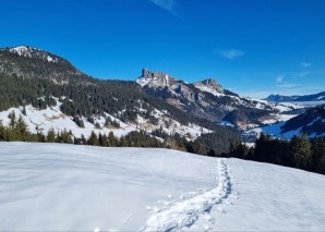 Expérience hivernale en équipe : randonnée en raquettes à neige