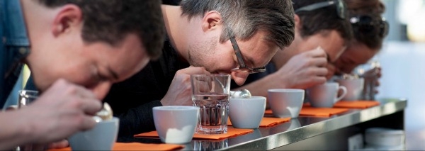 Sensory tasting in Solothurn