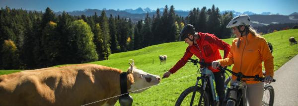 Tier-Safari mit dem E-Bike