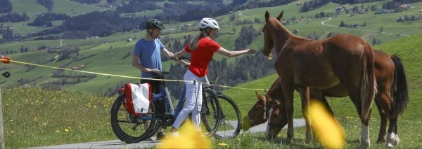 E-bike animal safari Appenzellerland