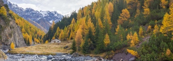 Tour du Parc national suisse