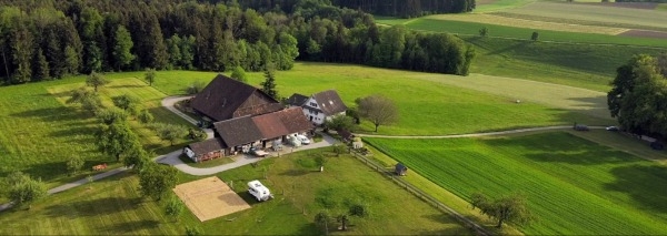 Cours de cuisine en équipe à la campagne