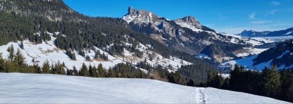 Expérience hivernale en équipe : randonnée en raquettes à neige
