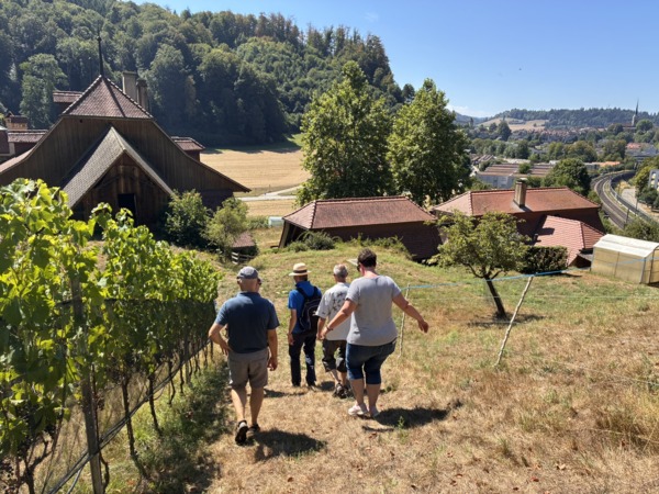 Vineyard tour and wine tasting in Burgdorf – Kundenbild 1