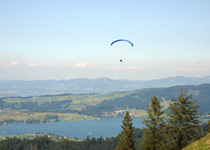 Be a paragliding passenger