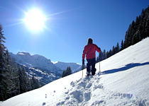 Swiss snow shoe paradise