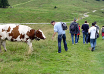 Rätselwanderung Moléson