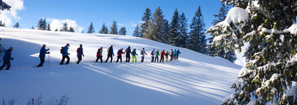 Snow shoe tour with an avalanche expert