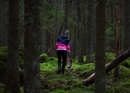 Survival-Team-Challenge «Essbare Wildpflanzen»
