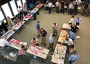 Domino Team Challenge