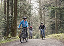 E-Mountain-Bike-Plausch für Gruppen