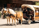 An Emmental grill by horse and cart