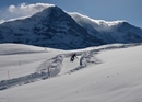 Winterlicher Schlitten-Event in Grindelwald